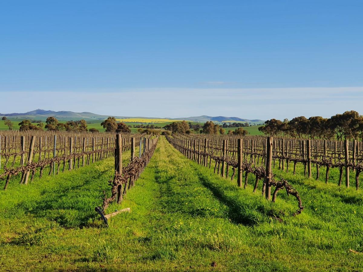 Belalie Wines Villa Jamestown Bagian luar foto