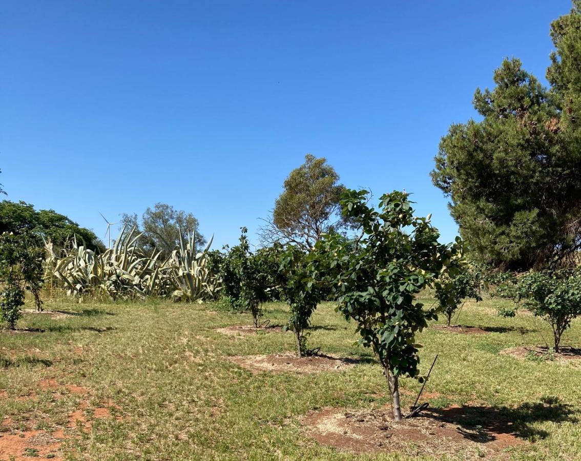 Belalie Wines Villa Jamestown Bagian luar foto